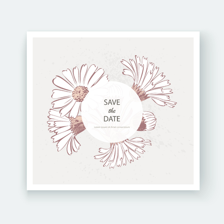Card with flowers Calendula, Chrysanthemum, Chamomile, Daisy, Marigold, Arctotis, Aster. Wedding ornament minimalist pastel colors. Floral trendy poster, invite. Vector decorative greeting card invitation design backgroundのイラスト素材