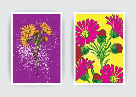 Hand drawn close-up Chrysanthemum flower artistic vector illustration. Botanical wedding ornament. Petals painted in pink. Floral trendy pattern poster. Decorative greeting card invitation design bgのイラスト素材