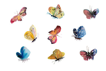 Beautiful watercolor butterflys flying, insect painted on white background. Artistic vector illustration set. Grunge simple botanical texture. Pink, yellow, blue colors natureの写真素材