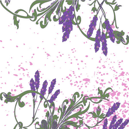Hand drawn lavender flowers on white, abstract floral pattern cover design. Blossom greenery branches, trendy artistic background. Graphic vector illustration wedding, poster, greeting card, magazineのイラスト素材