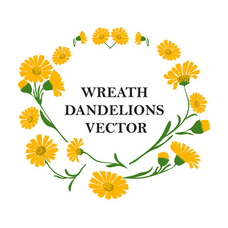 Floral wreath of plant dandelions isolated on white background. Botanical frame of branch yellow flowers and green leaves daisy vector illustration. Graphic design for greeting, holiday, celebration,のイラスト素材