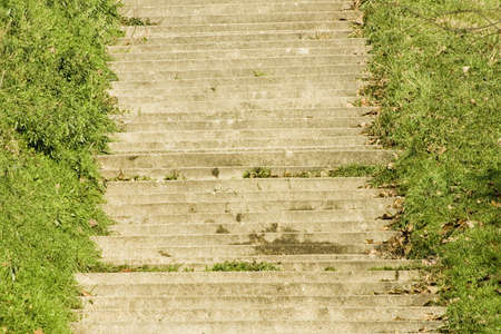 stairs up in the parkの写真素材