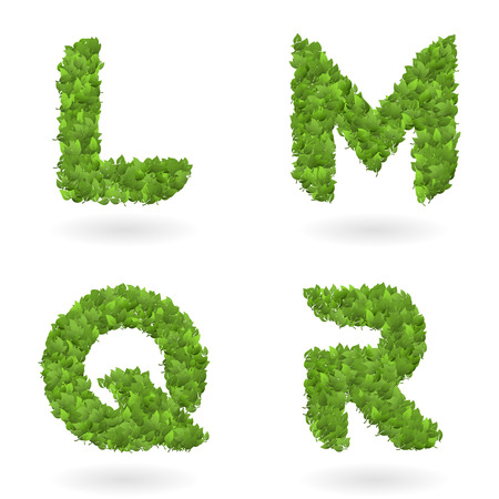letter of vector realistic nature green eco leavesのイラスト素材