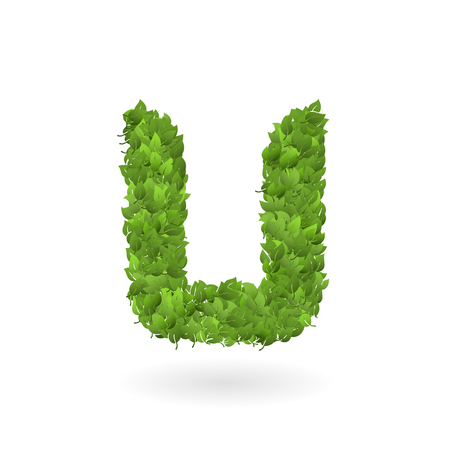 U letter of vector realistic nature green eco leavesのイラスト素材