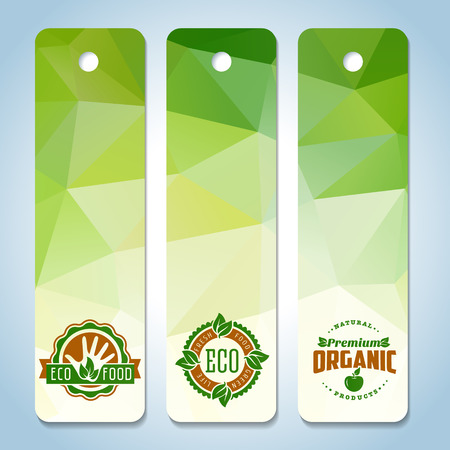 Natural organic food banner template on triangle backgroundのイラスト素材