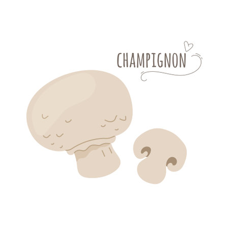 Champignon,agaricus mushrooms isolated on white background.Vector illustration.のイラスト素材