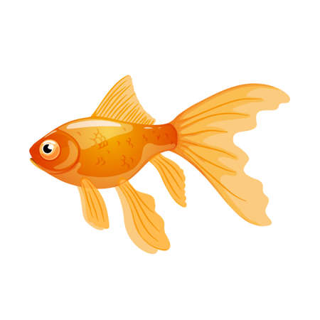 Goldfish in realistic style on white background.Vector illustrationのイラスト素材
