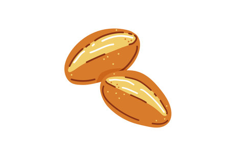 Bread rolls for brunch in germany or sunday buns.Vector illustrationのイラスト素材