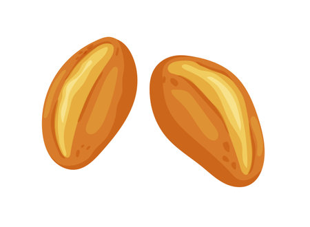 Bread rolls for brunch in germany or sunday buns.Vector illustrationのイラスト素材