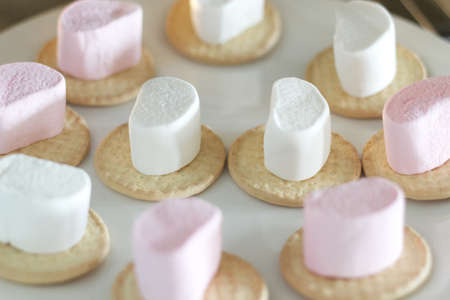 Biscuits with a marshmallow on topの写真素材