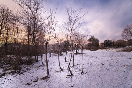 winter landscapeの写真素材