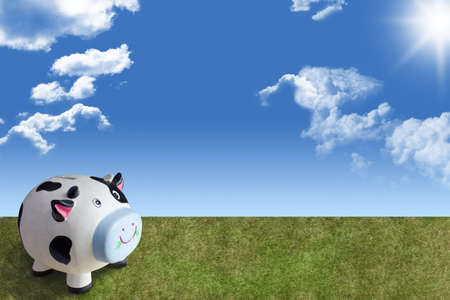 A cow bank outdoorの写真素材