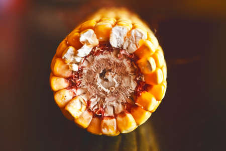 corn 
