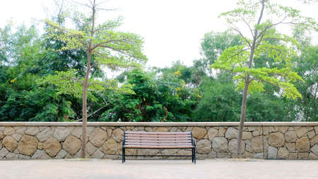 Green plants and Bench in the parkの写真素材