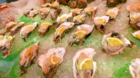 Some oysters are on the ice tray with lemonの写真素材