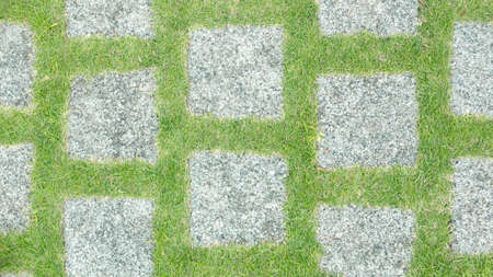 Stones and green grasses footpath in the gardenの写真素材