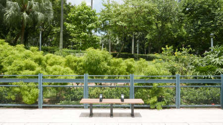 bench and green plants in the gardenの写真素材