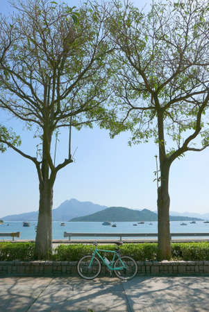Vertical green trees, blue sky and retro mint green bicycleの写真素材