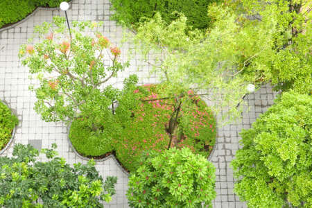 Green trees and street lamps in the garden from top angleの写真素材