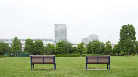 Two wooden benches and grass floor in the public parkの写真素材