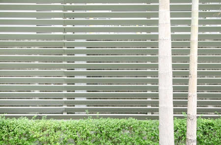 Closeup outdoor green gardening plants in the parkの写真素材