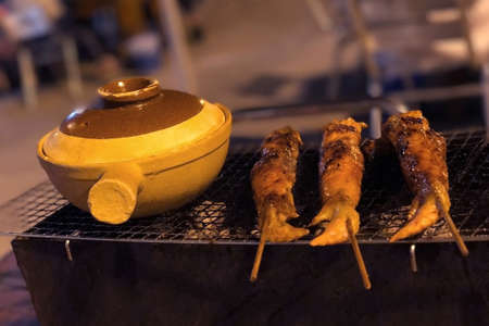 Outdoor barbecue chicken wing on the metal net grilledの写真素材