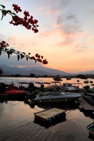 speedboat, pier, flower, mountain and the skyの写真素材