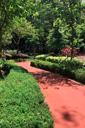 The Outdoor plant decoration, exercise, running, jogging red pathway in the parkの写真素材