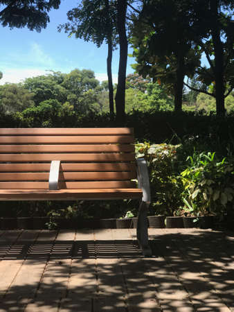 Vertical outdoor wooden garden bench and tree in the park