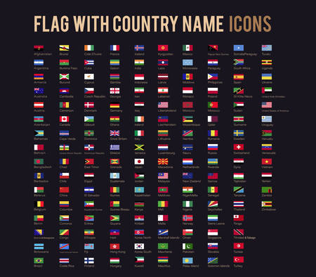 The vector flag with country name flat iconのイラスト素材
