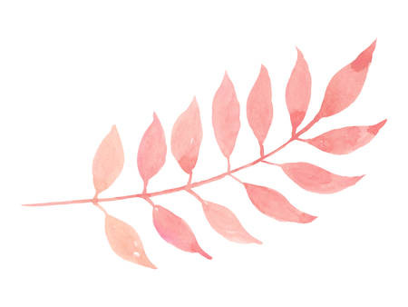 The isolated pastel pink leaf on white backgroundのイラスト素材
