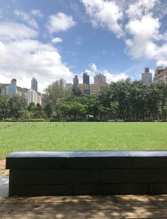 The vertical outdoor wooden floor and green field in city public park