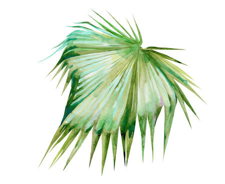 The isolated watercolor green plant leaf deocration on white backgroundのイラスト素材