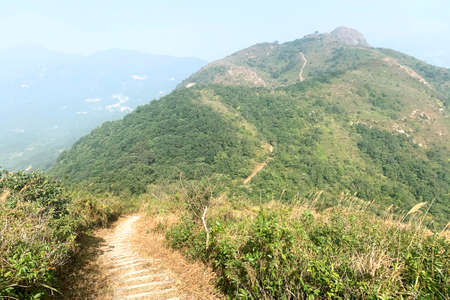 The outdoor hiking path in Hong Kong with natural grasses, plants, staircase and mountainの写真素材