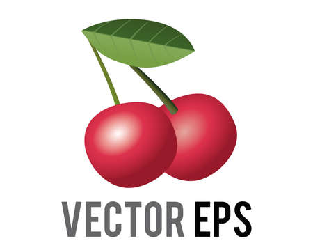 The isolated vector fruit two rich red wild cherry icon with green leaf