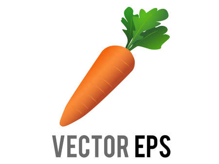 The isolated vector whole bright orange carrot icon, topped with long green leaves, as if freshly plucked from the gardenのイラスト素材
