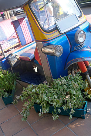 The blue yellow thailand tuk tuk tricycle with pink passenger seats