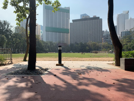 The outdoor freshness green leaves, plants, natural texutred background from top viewの写真素材