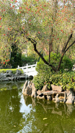 The vertical white bridge, plants,  green trees, stone decoration and water pond in public outdoor parkの写真素材