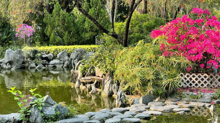 The pink flowers, plants,  green trees, stone path and water pond in public outdoor parkの写真素材