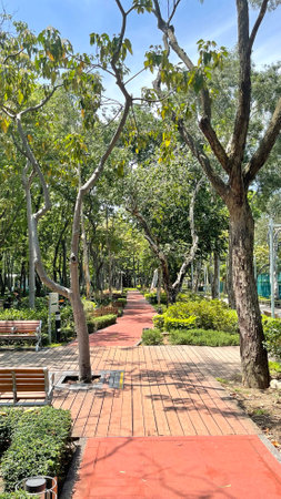 The vertical jogging and running red outdoor track with bench, green plants and treeの写真素材