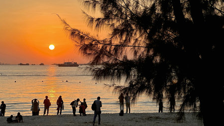 The horizontal silhouette of tree, boat, group people on beach with sun and ocean at sunset