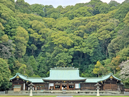 This serene scene captures the beauty of a traditional Japanese shrine surrounded by vibrant foliageの写真素材
