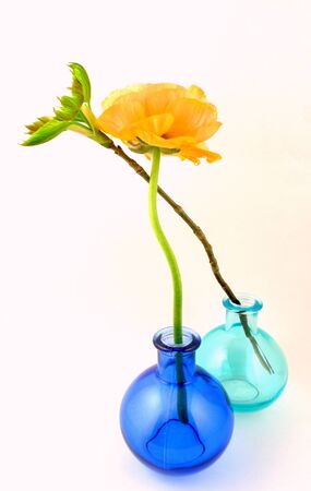 two flowers in glass vasesの写真素材