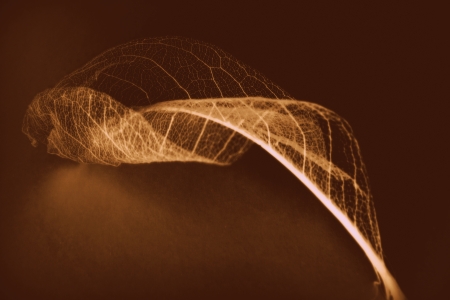 Spun IIの写真素材