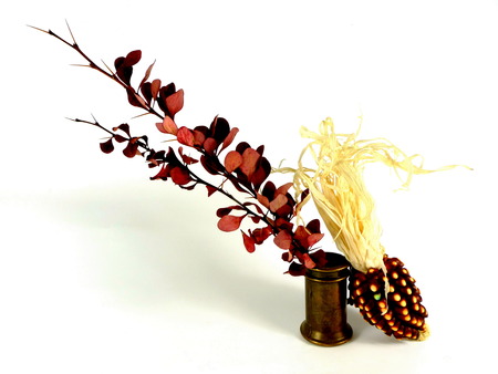 branch with ornamental cornの写真素材