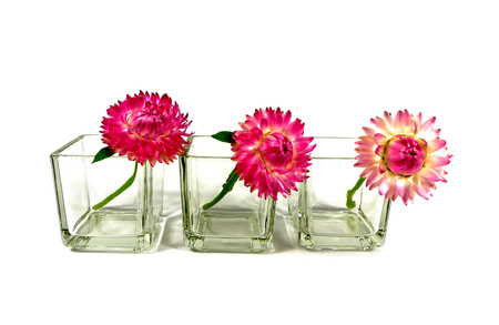 straw flowersの写真素材