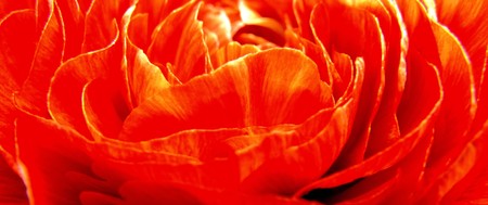 flameの写真素材