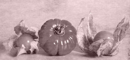 fruitsの写真素材