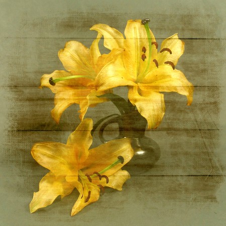 yellow liliesの写真素材